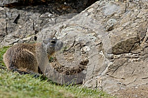 MarmotÃ¢â¬â¢s Hole